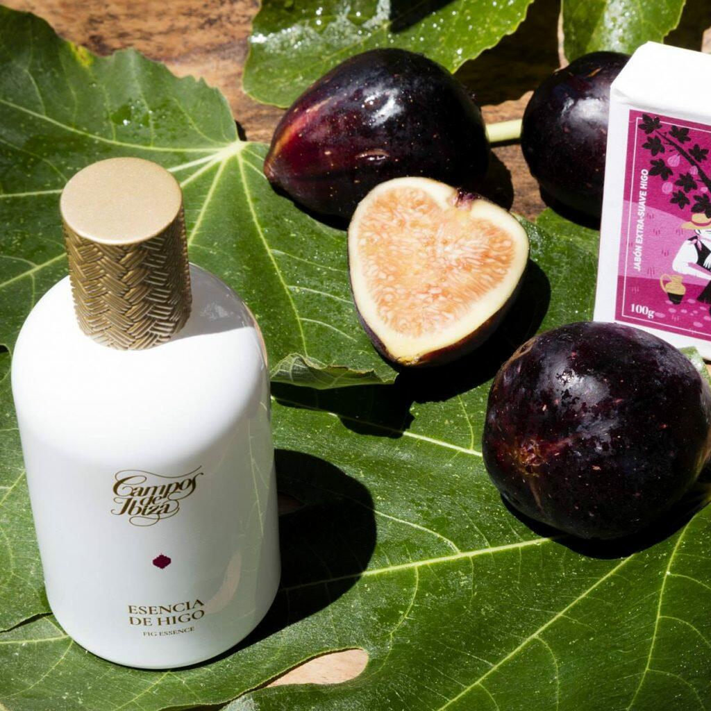 campos de ibiza fig