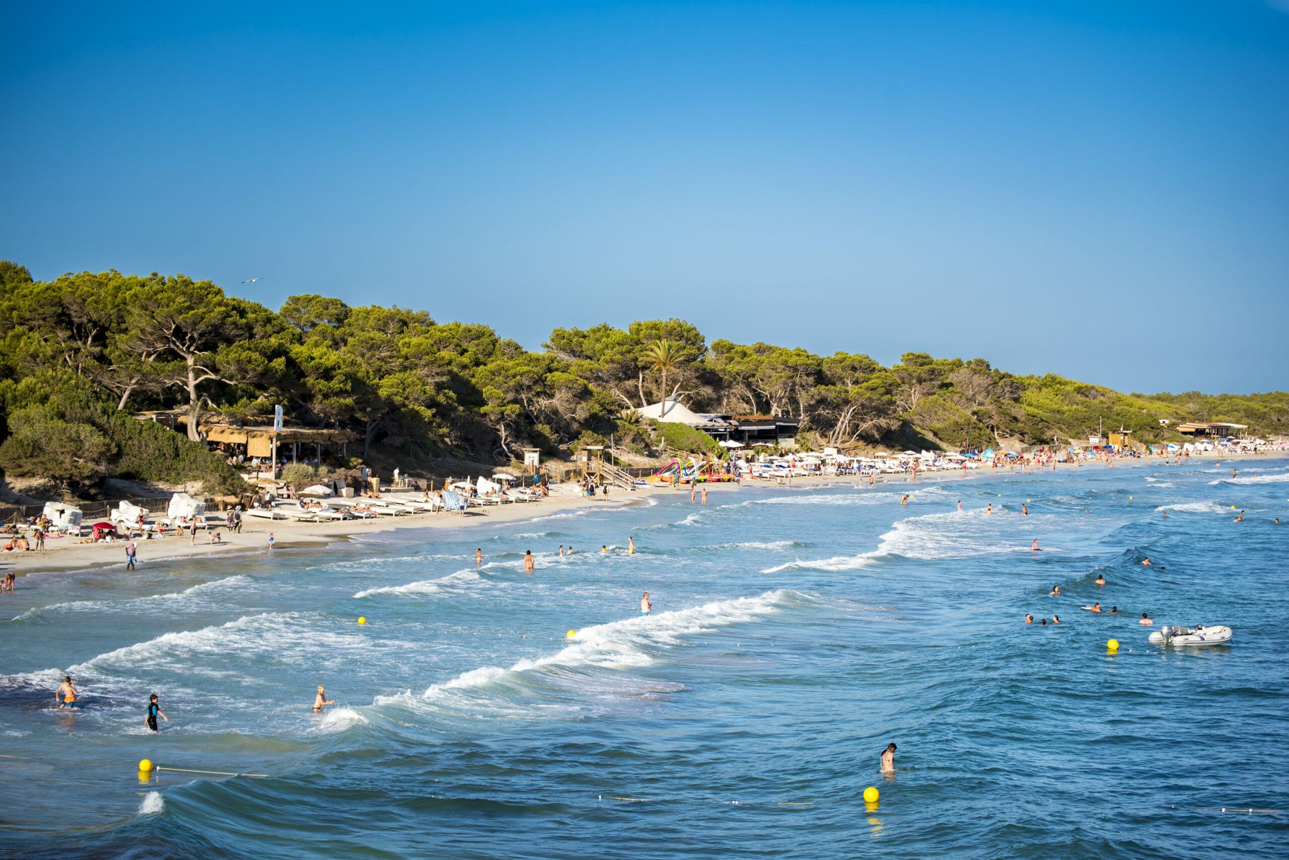 Strand Ses Salines, Ibiza, mit Schwimmern in türkisfarbenen Wellen und Sonnenliegen entlang eines Sandstrands, gesäumt von Pinien.