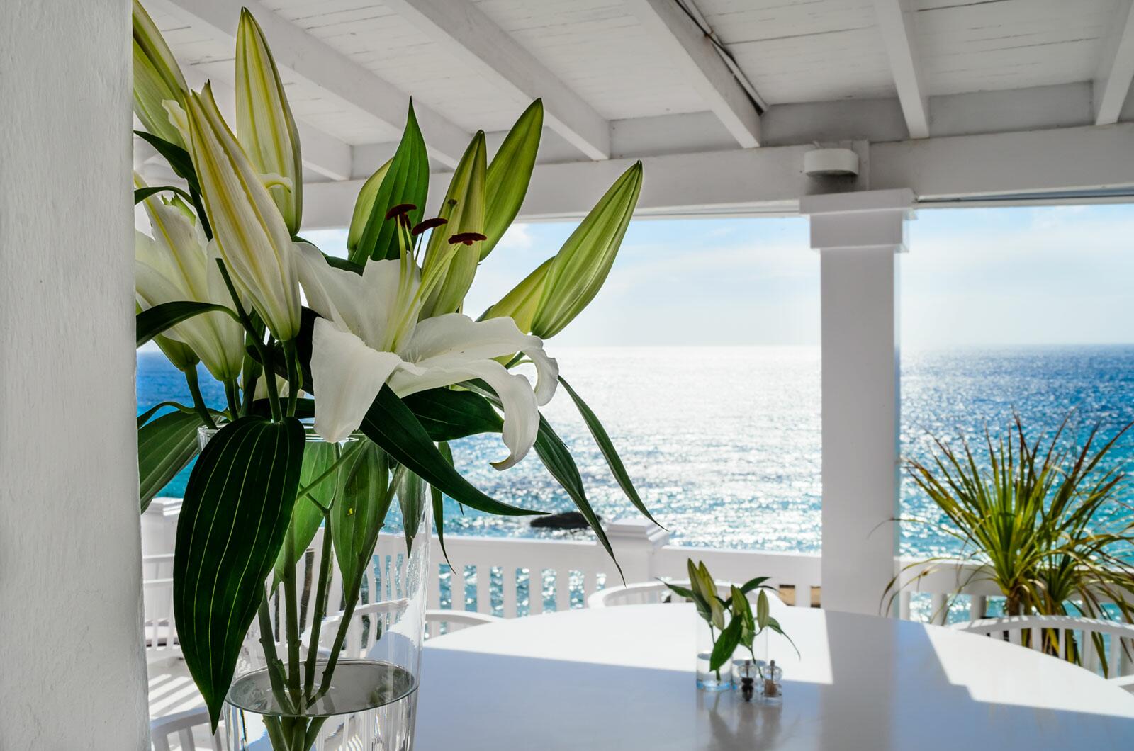 Cotton Beach Ibiza Cala Tarida