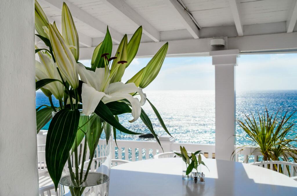 Cotton beach club in Ibiza summer 2020