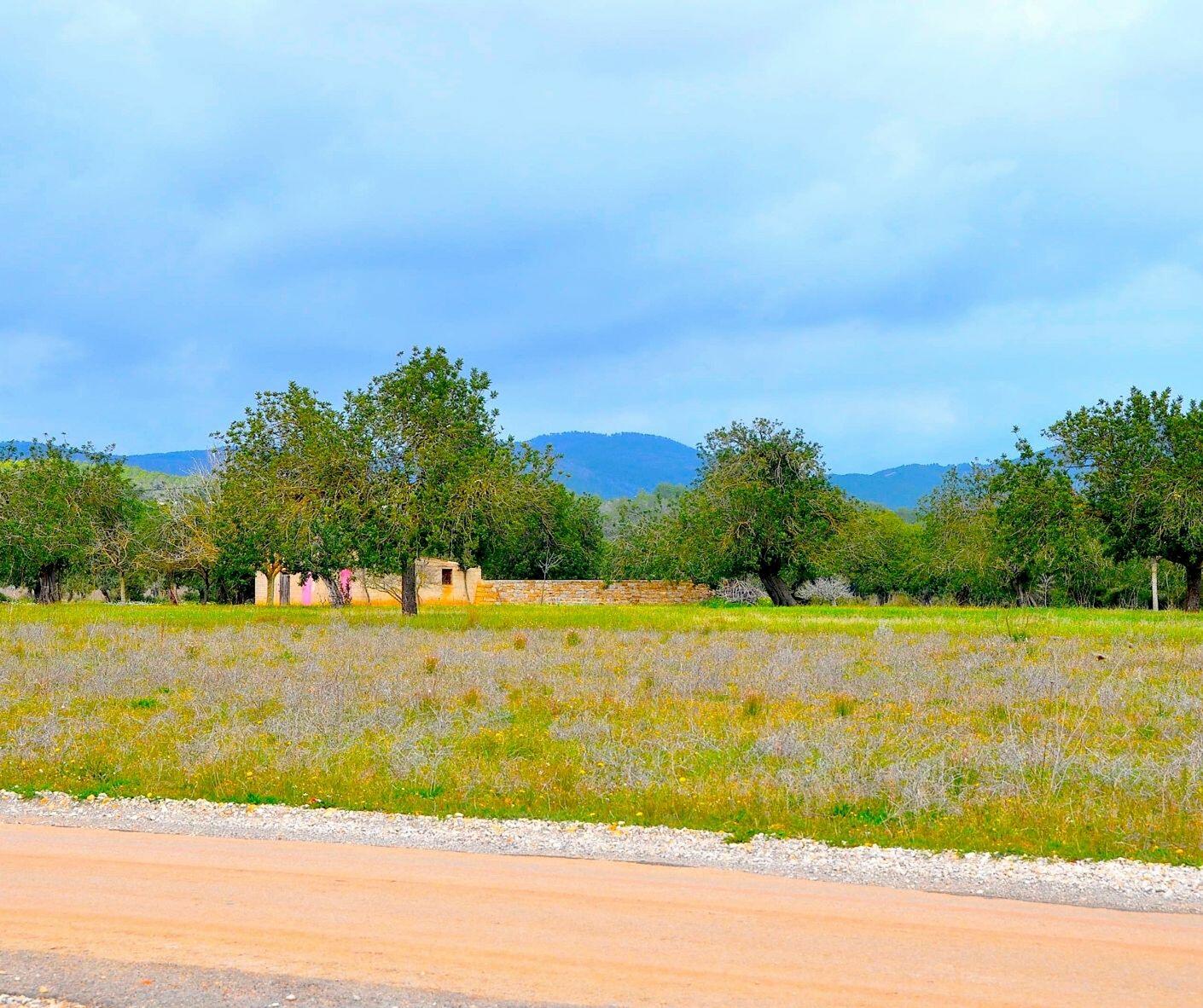 COUNTRYSIDE OF IBIZA