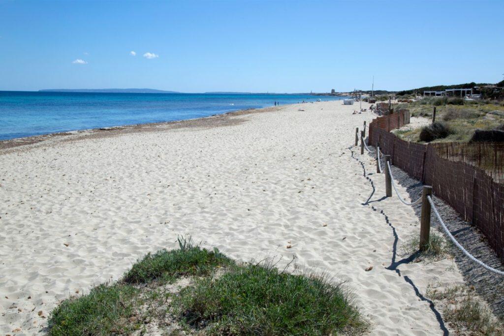 Wohnen auf Ibiza: Der Strand Es Cavallet im Gebiet Las Salinas