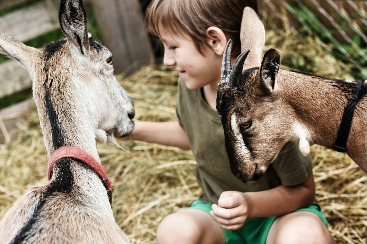 Öko-Farm Can Muson Ibiza