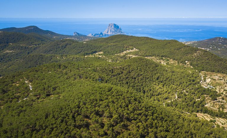 Immobilien zum Verkauf und zur Miete in San José de Sa Talaia