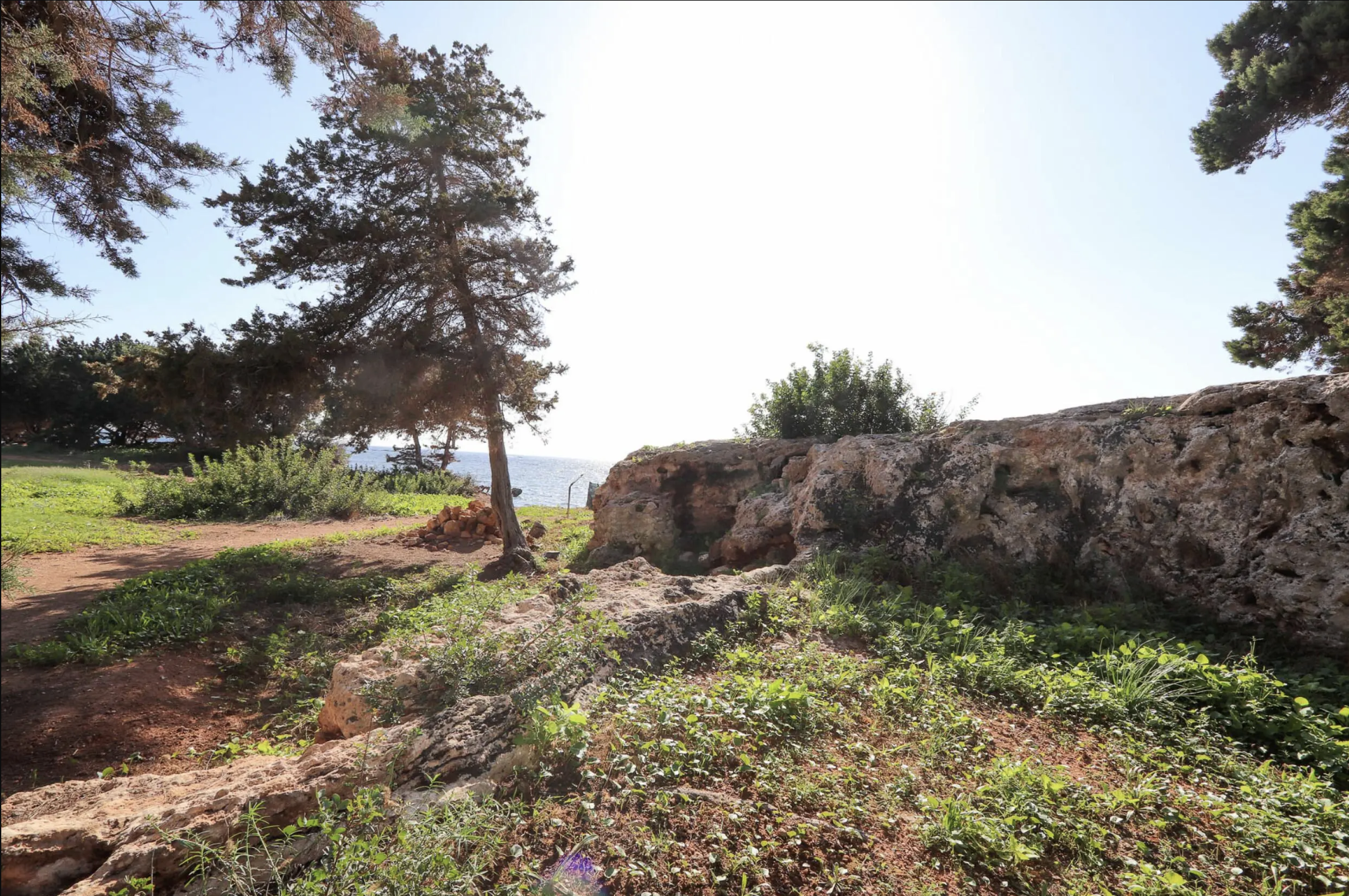 Grundstück zum Verkauf Ibiza Terreno Martina