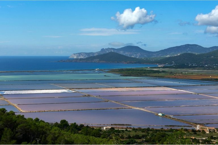 Leben auf Ibiza: Das Leben in Las Salinas
