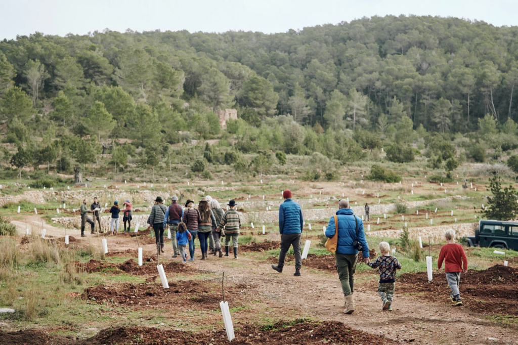 Winter auf Ibiza - Juntos farm Ibiza