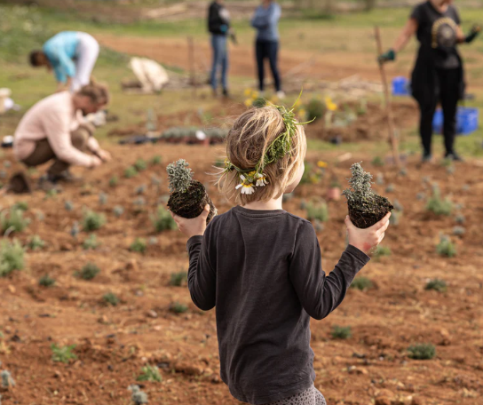 Juntos farm Ibiza